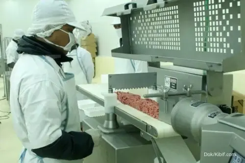 BEEF Buyback Saham Harga Terkerek, Total Tembus Rp9,46M