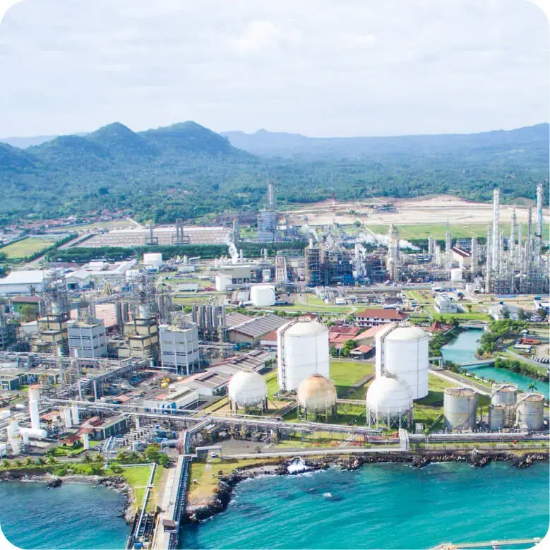 Emiten Prajogo (BRPT) Cetak Laba Terbang 803 Persen di Q1-2026