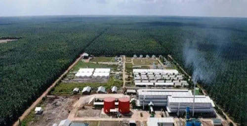 Dirut Emiten Sawit TP Rachmat (TAPG) Serok Saham Harga Atas
