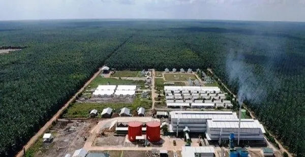 Dirut Emiten TP Rachmat (TAPG) Mulai Jual Saham di Harga Rp1.580