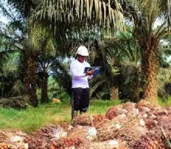 FAP Agri (FAPA) Setujui Dividen Rp70 per Lembar