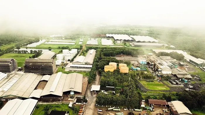 Pengendali Baru Pinago Utama (PNGO) Mulai Gelar Tender Offer Harga Rp3.584 per Lembar